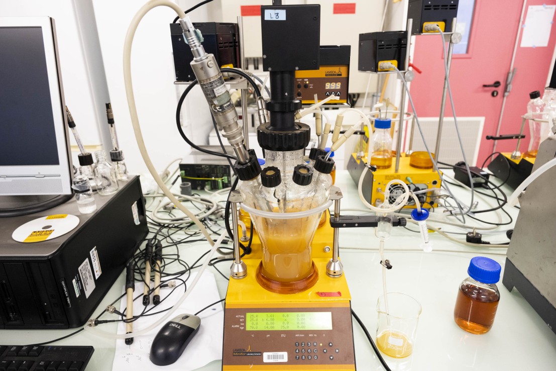 Fiole sur une machine en laboratoire de recherche agroalimentaire