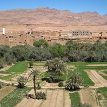 Le développement de l’agriculture dans la wilaya de Ghardaïa - Algérie © Aps.dz/regions