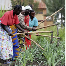 Une coopérative agricole de femmes en République démocratique du Congo © Panos / Giacomo Pirozzi