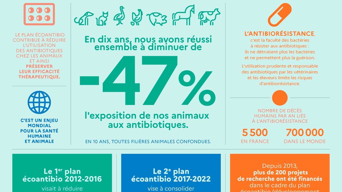 Allocution Du Ministre Loccasion De La Semaine Mondiale Pour Un Bon