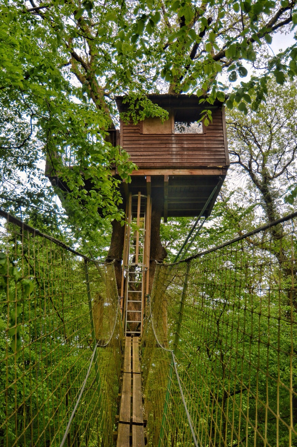 Cabane nichée dans les arbres du "Chêne perché", dans les Ardennes