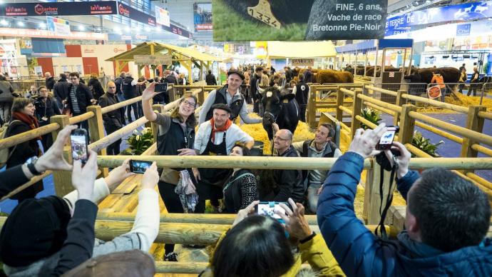 Fine, la vache égérie du SIA 2017, au pavillon 1 de la Porte de Versailles