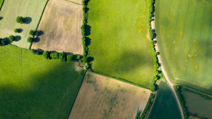 Vue aérienne d'un paysage agricole composé de champs et de haies.