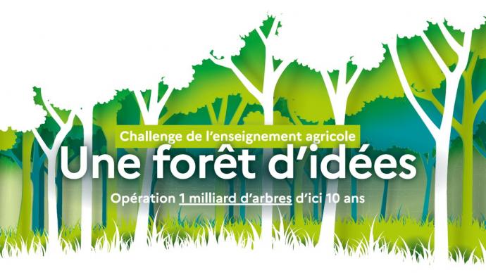 Vignette challenge "Une forêt d'idées"