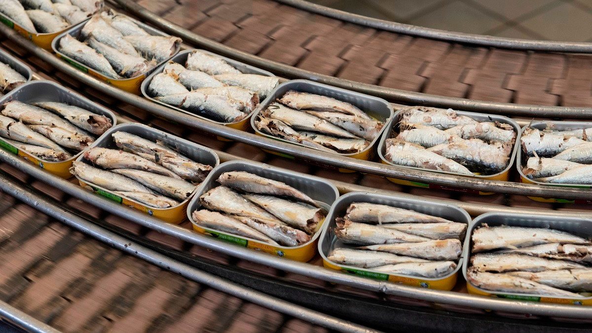 Boîtes de sardine