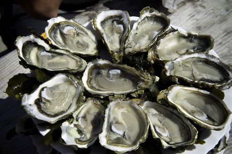 Je mange a maigri une fois par jour