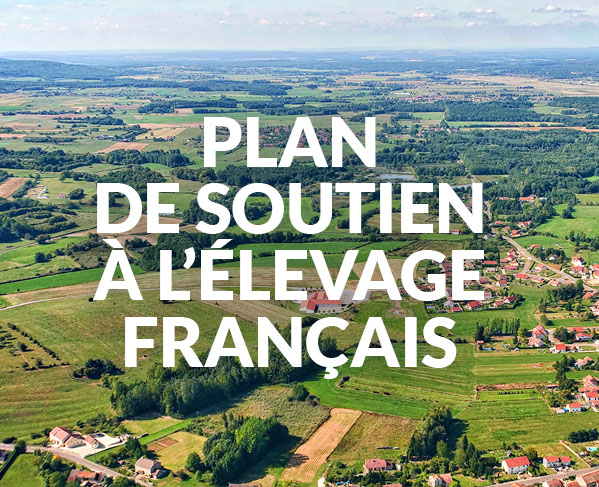 Plan de soutien à l'élevage français Plan de soutien à l'élevage français