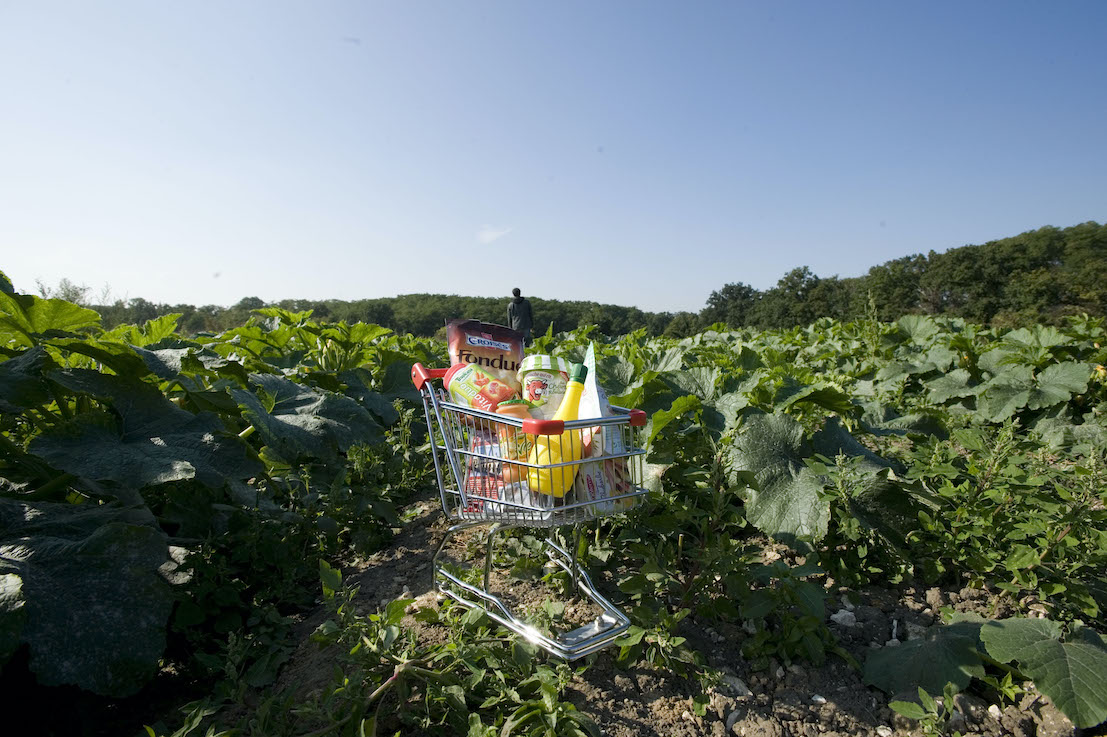 caddie de provisions au milieu d'un champ