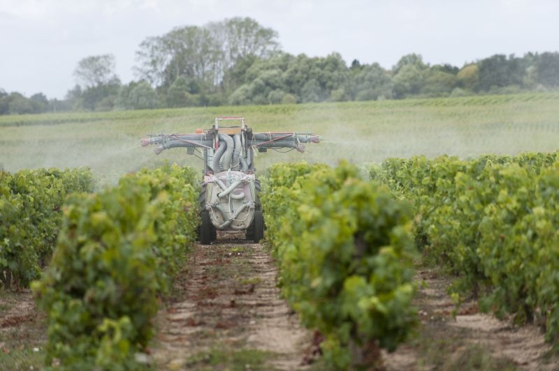 Surveillance et contrôles de l’utilisation de produits phytosanitaires