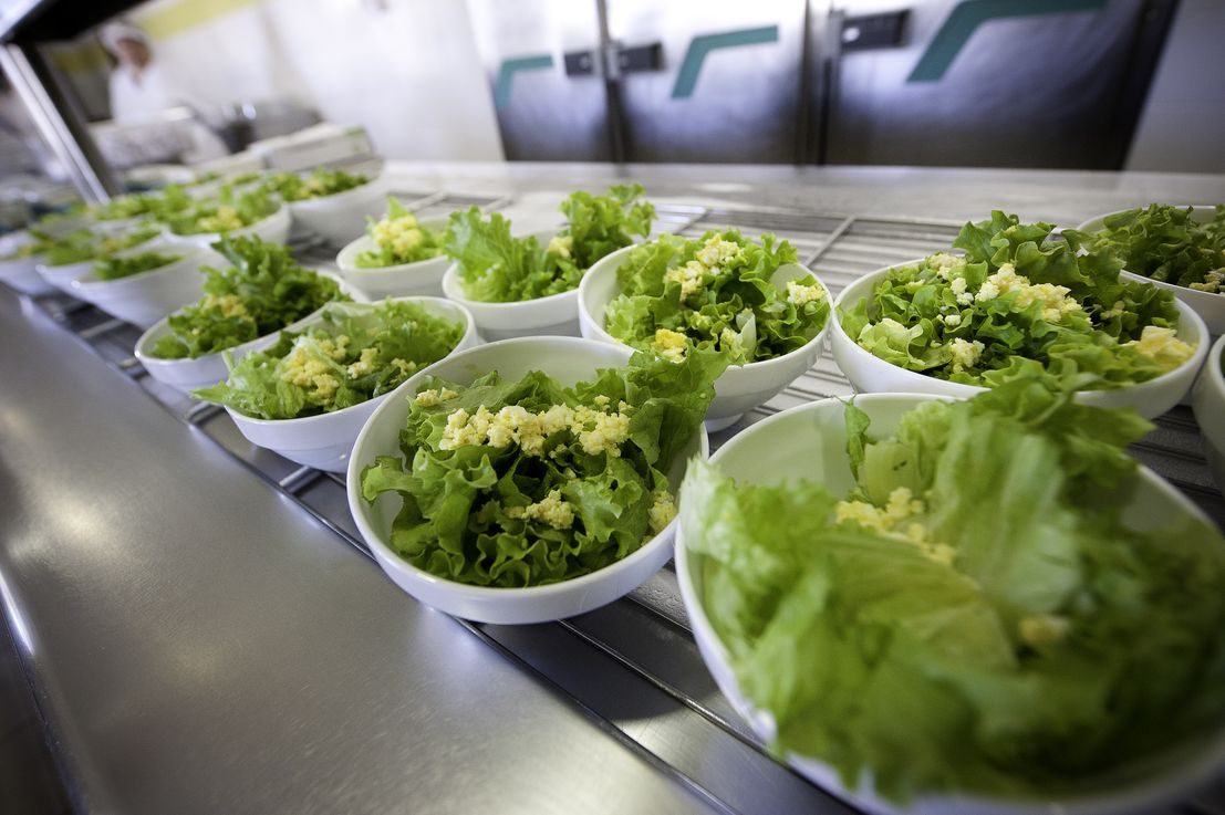 Présentation de salades à la cantine Présentation de salades à la cantine