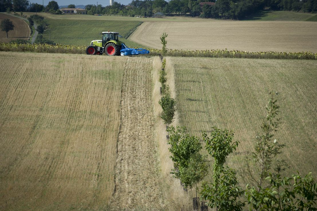 Protection des cultures et maîtrise des produits phytosanitaires  Alim