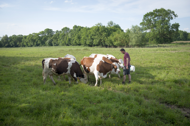 © Xavier Remongin / Min.Agri.Fr ©Xavier Remongin/Min.Agri.Fr