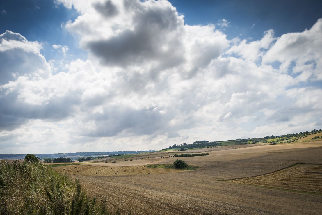 Paysage agricole sur fond de ciel nuageux. Paysage agricole sur fond de ciel nuageux.