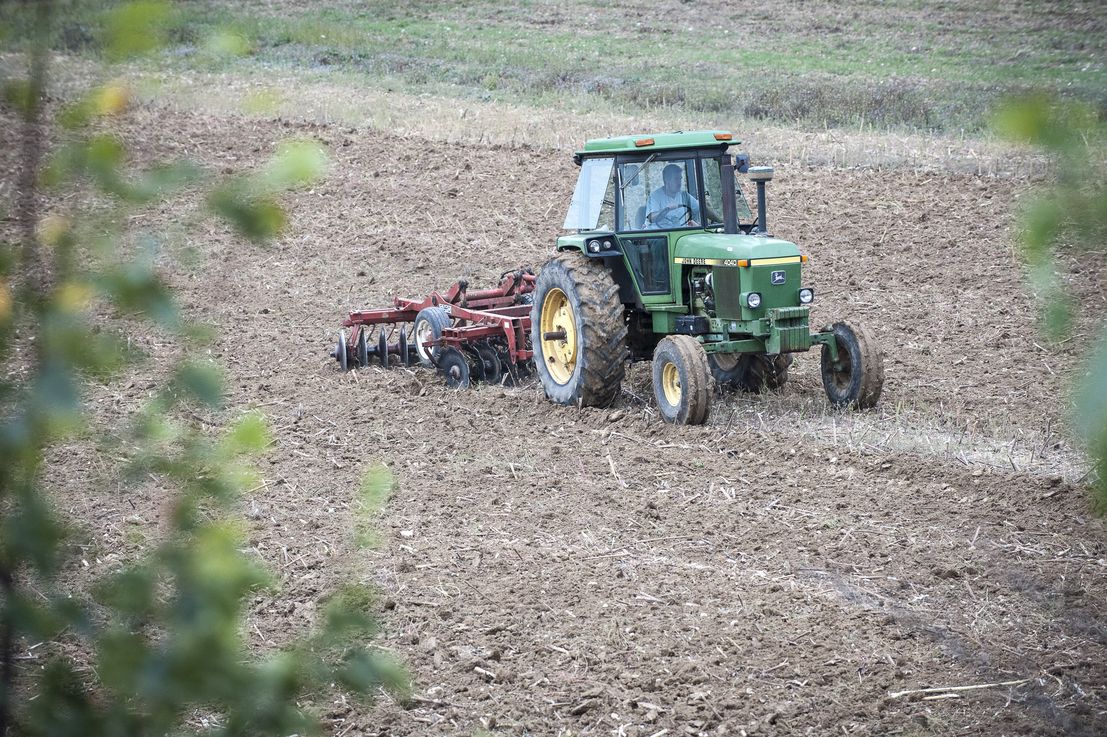 Agriculteur passant une charrue à disques dans une parcelle de maïs.