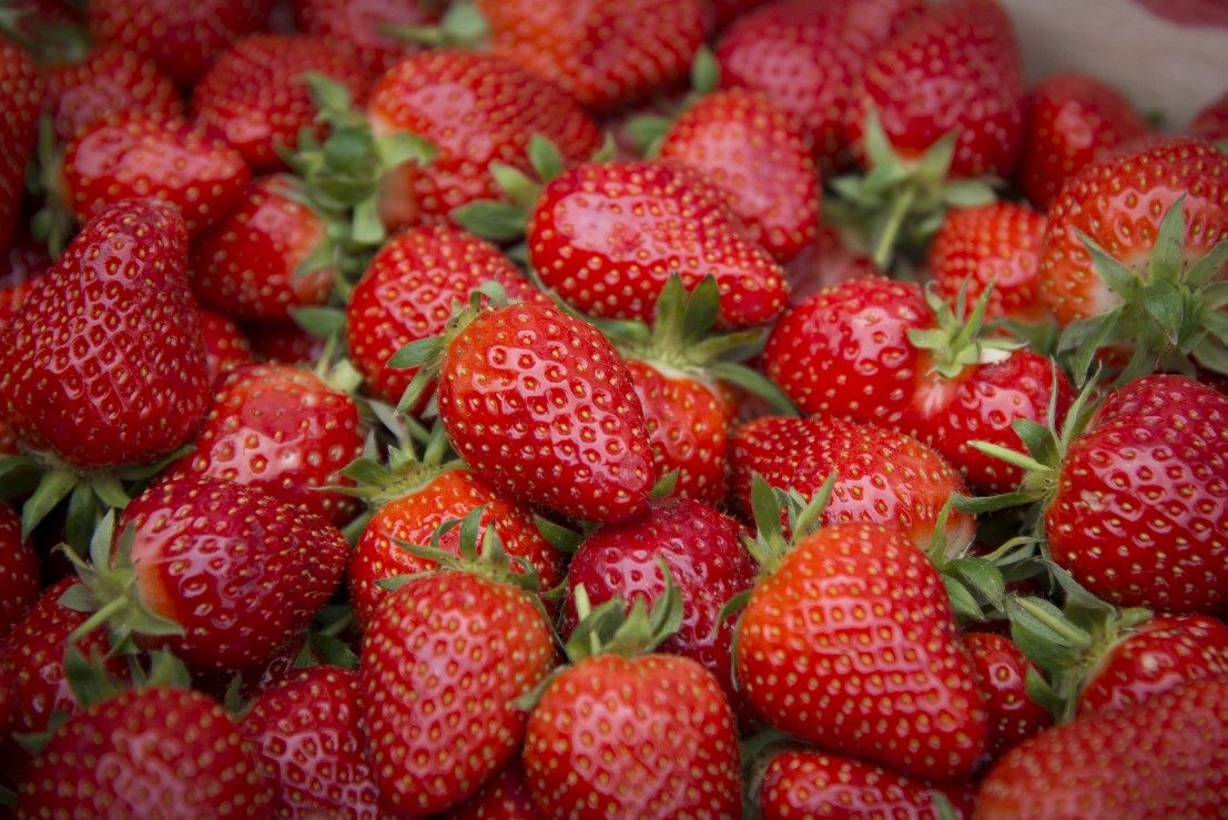 fraises en vrac