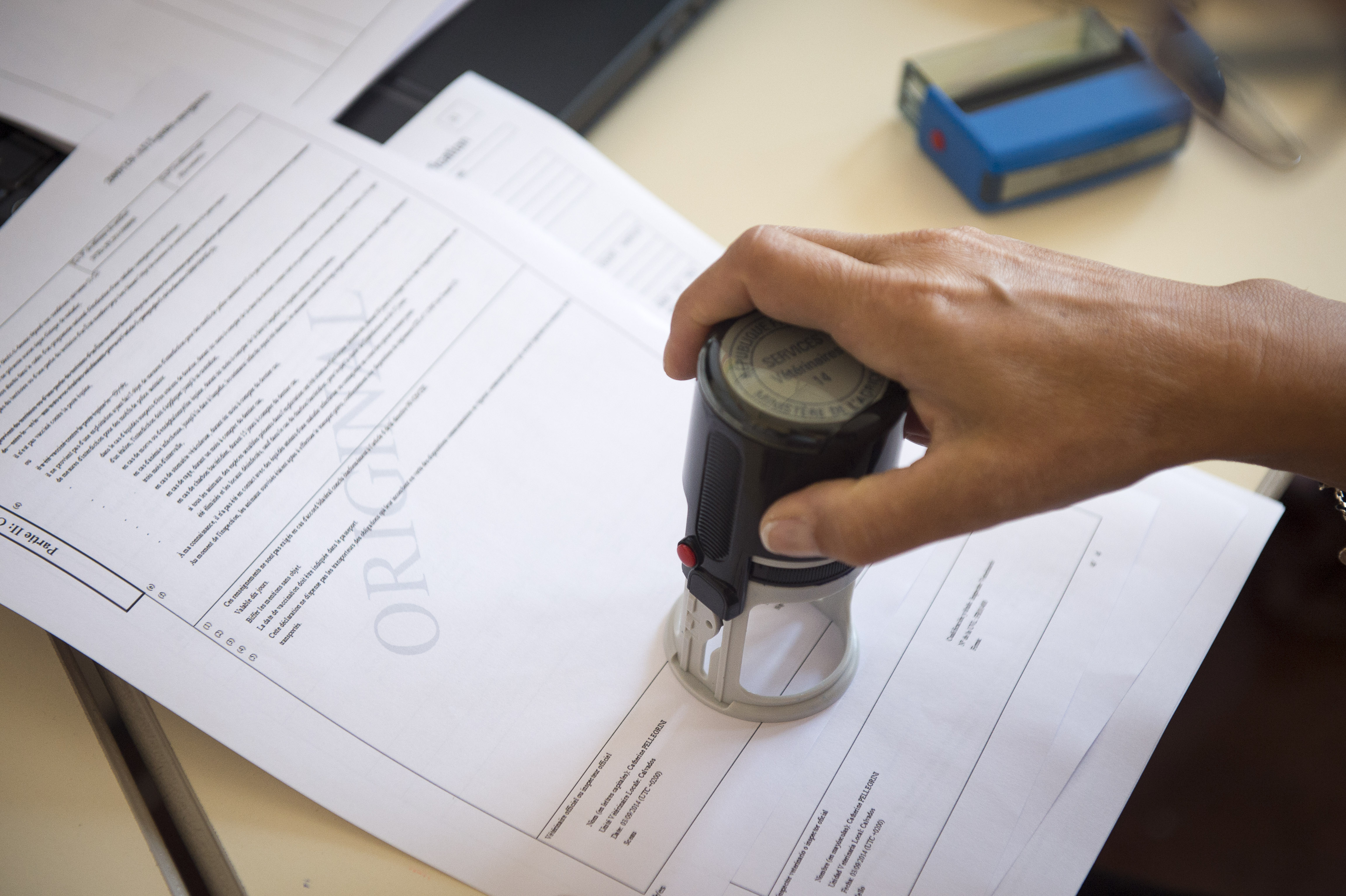 Tous les établissements agréés, certifiés ou autorisés - DGAL