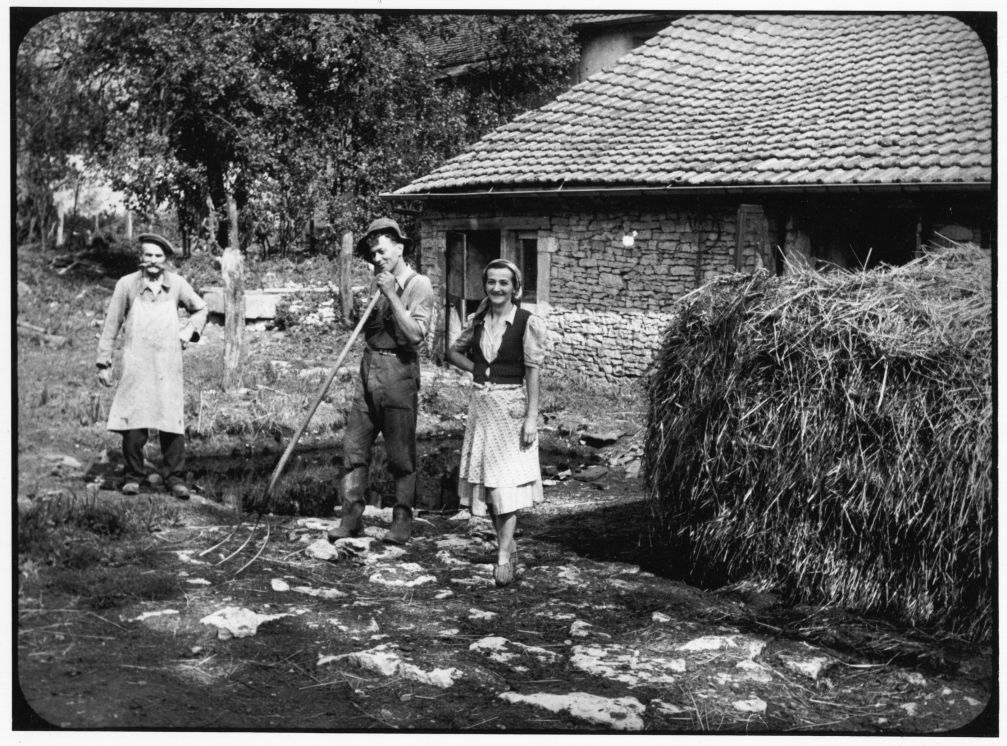 Bildergebnis für Mendras commune