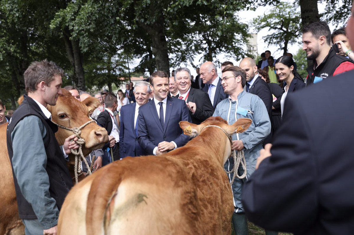 Crédit ci-après