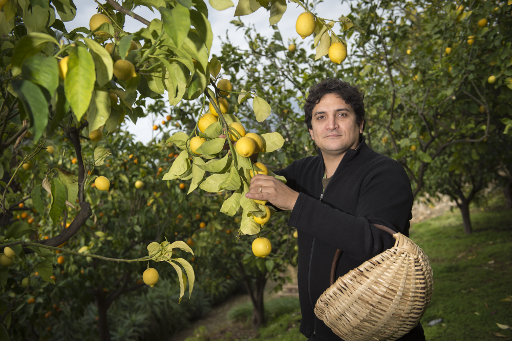 Le chef étoilé Mauro Colagreco dans le jardin d'agrumes et d'aromatiques de son restaurant gastronomique le "Mirazur" Le chef étoilé Mauro Colagreco dans le jardin d'agrumes et d'aromatiques de son restaurant gastronomique le "Mirazur"
