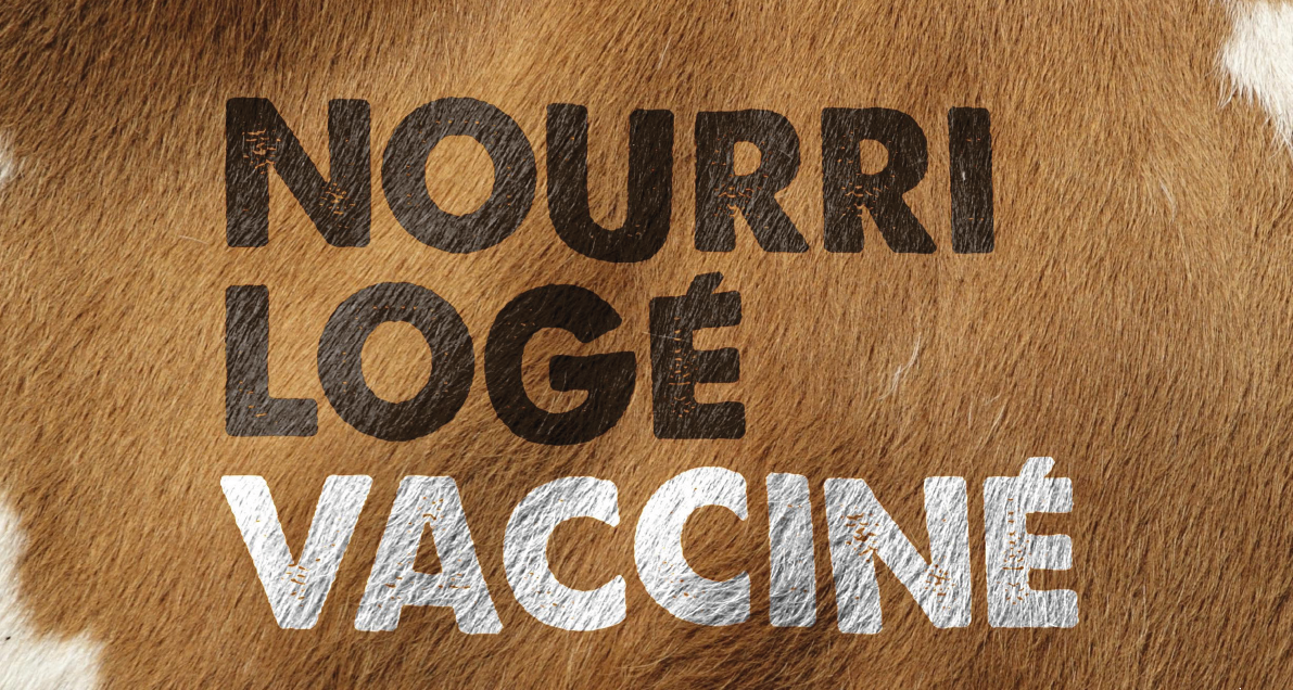 Nourri logé vacciné Nourri logé vacciné