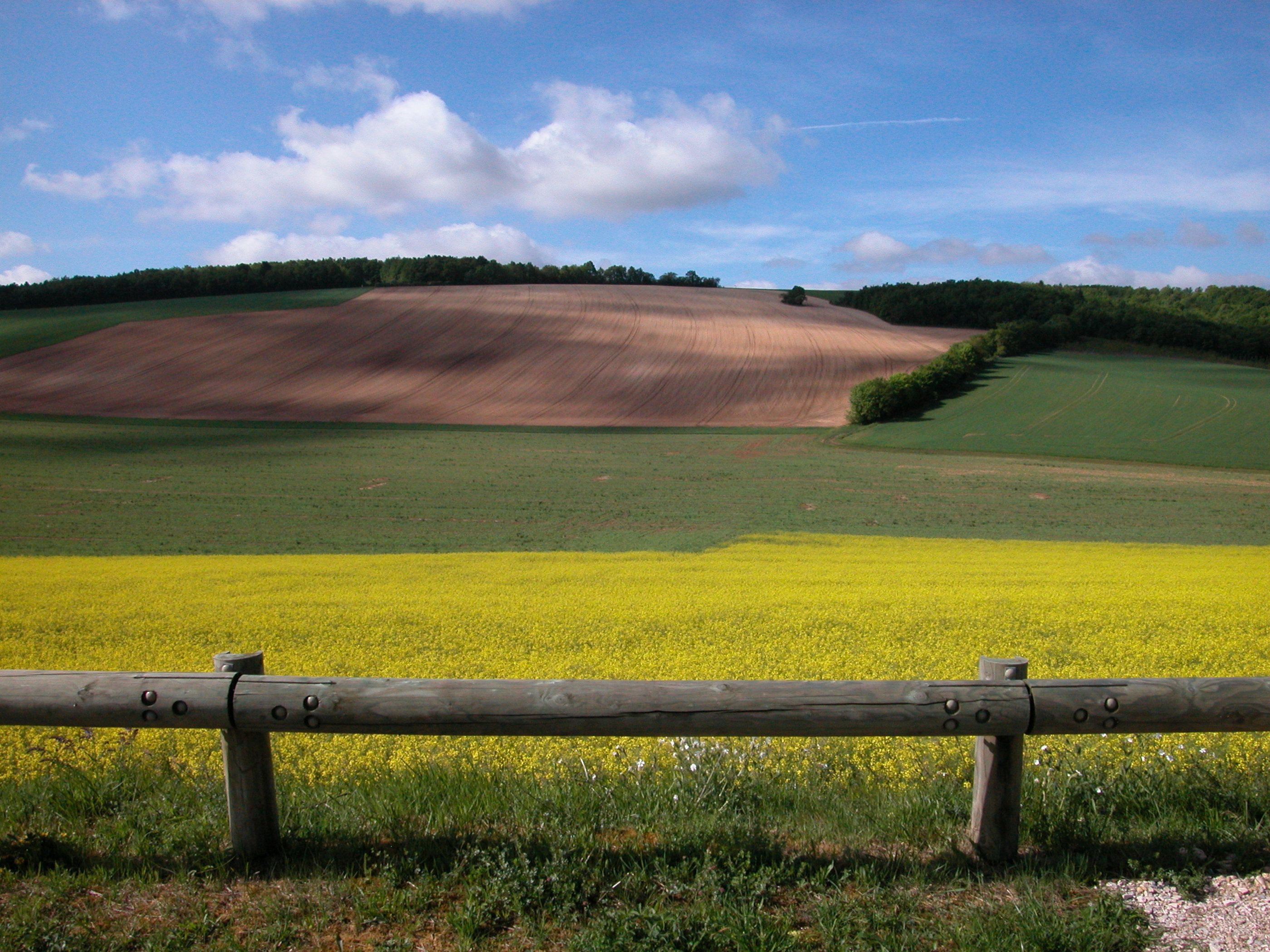 Paysage agricole