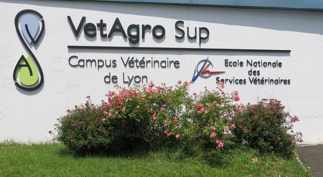 Ecole Nationale Vétérinaire de Lyon (VetAgro Sup) Ecole Nationale Vétérinaire de Lyon (VetAgro Sup)