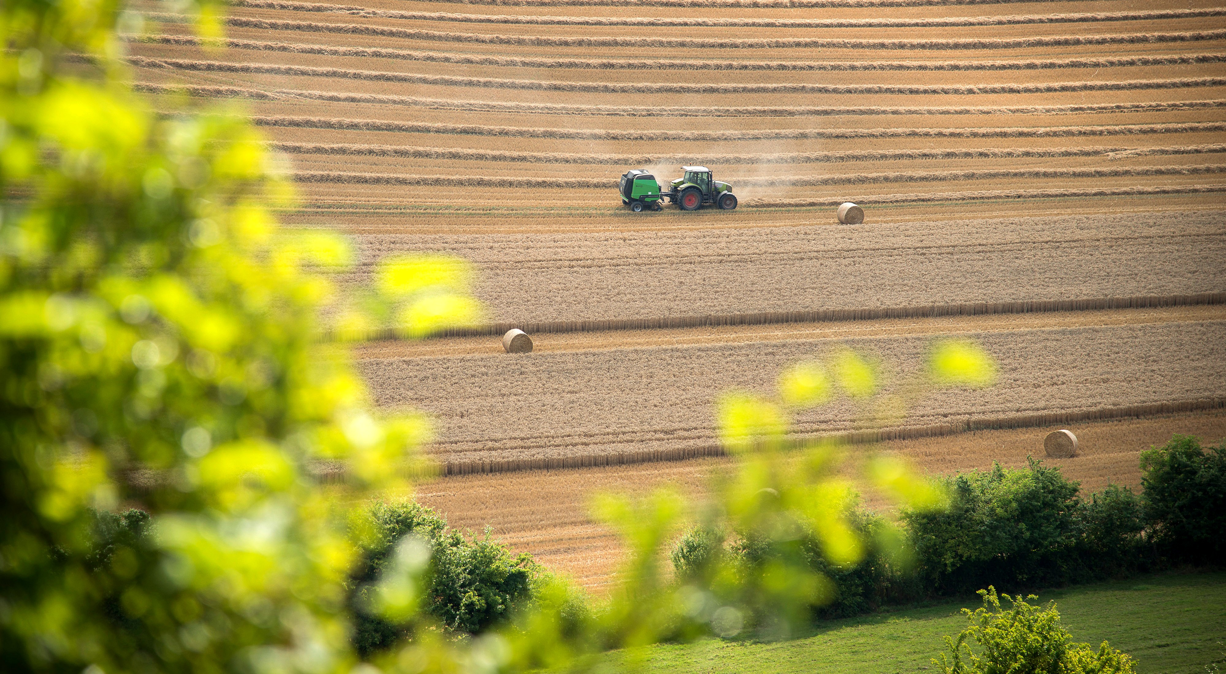 Un tracteur dans un champ après les moissons