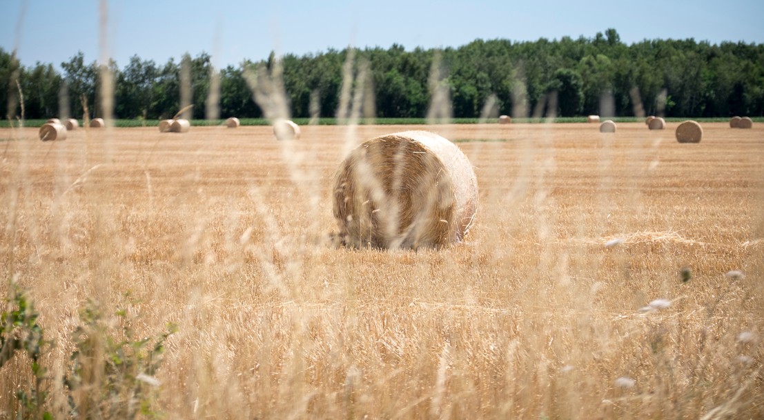 Les Enjeux Environnementaux | Ministère De L'Agriculture Et De La ...