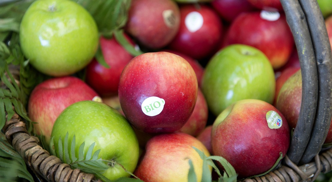 Un panier de pommes bio