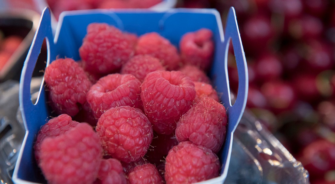 Barquette de framboises.