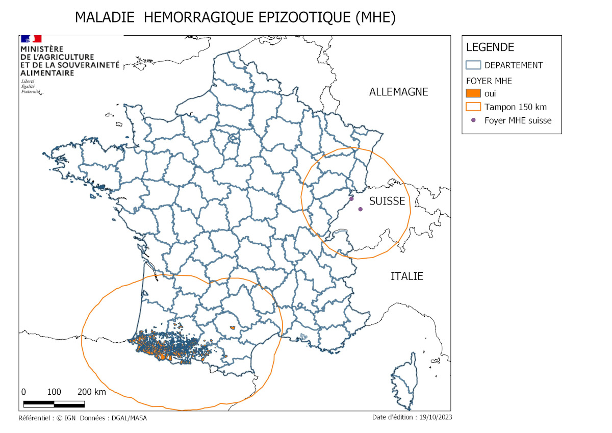 Carte permettant de visualiser les foyers de maladie hémorragique épizootique dans le sud-ouest de la France et près de Bernes en Suisse