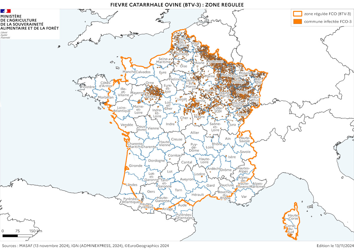 Carte de France présentant les zones régulées au 13 novembre 2024. Le détail des foyers par commune est consultable dans le tableau après la carte 