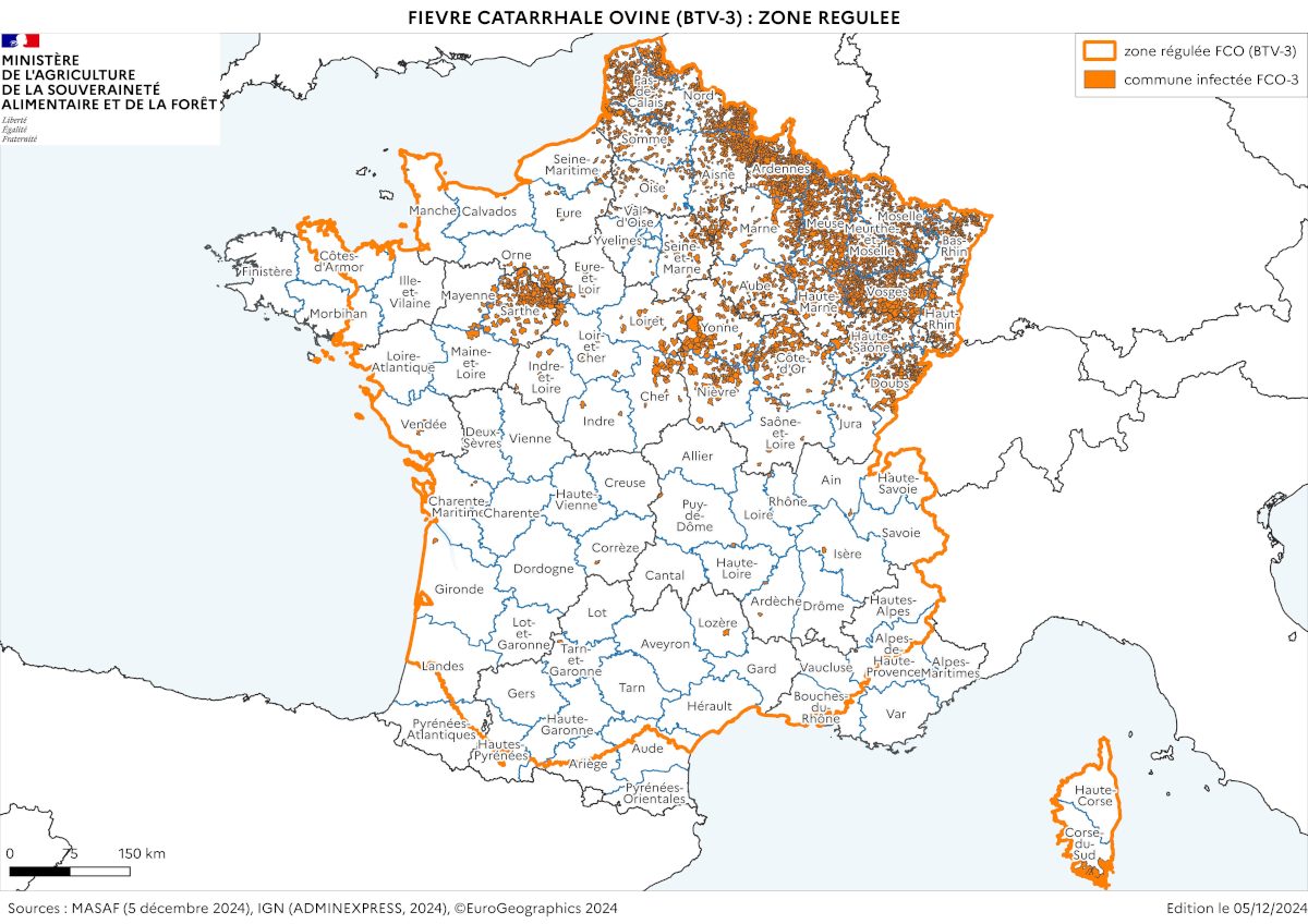 Carte de France présentant les zones régulées au 05 novembre 2024. Le détail des foyers par commune est consultable dans le tableau après la carte