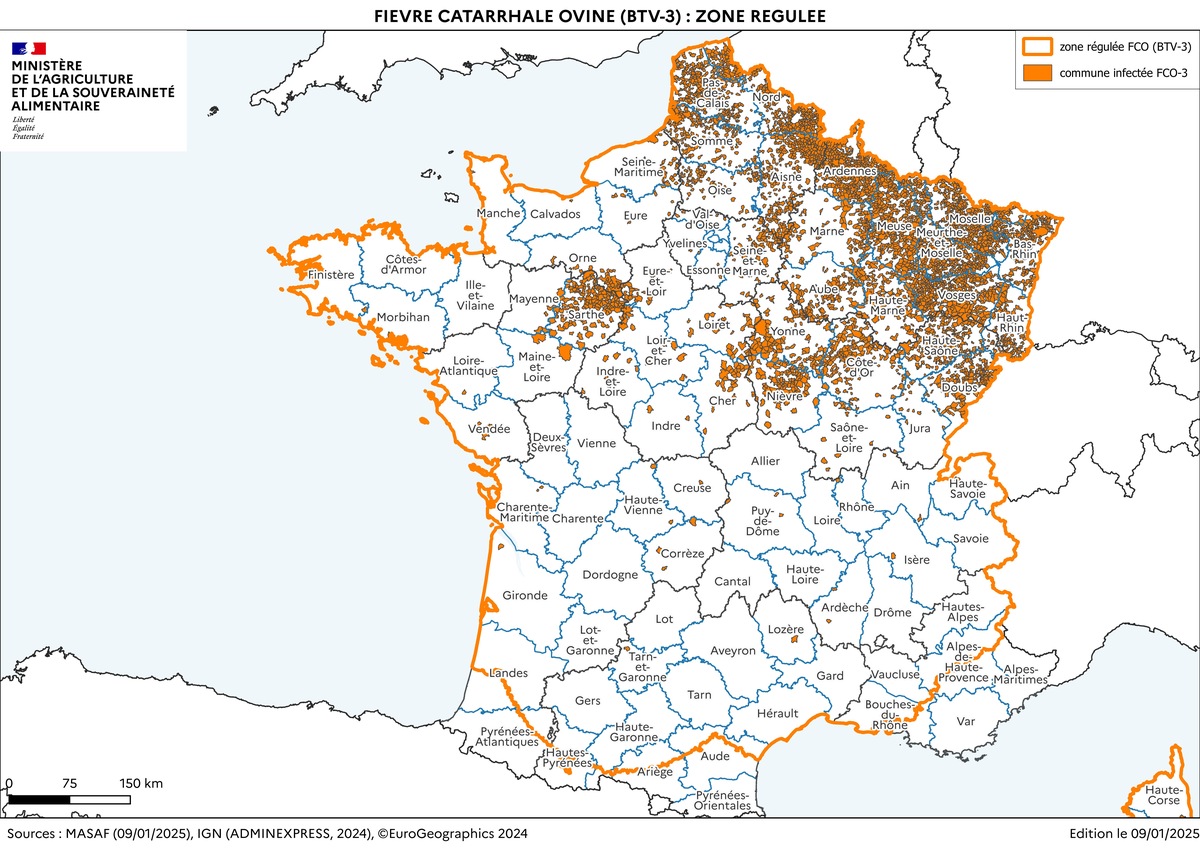 Carte et liste des communes de la zone régulée FCO au 9 janvier 2025