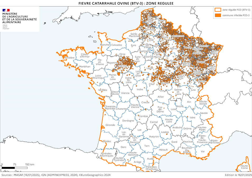 Carte et liste des communes de la zone régulée FCO au 16 janvier 2025