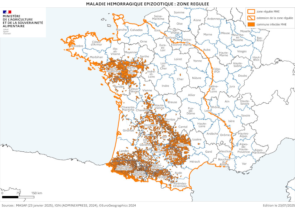 Cartographie de la zone réglementée au titre de la MHE à partir des foyers du sud-ouest (à la date du 23 janvier 2025)