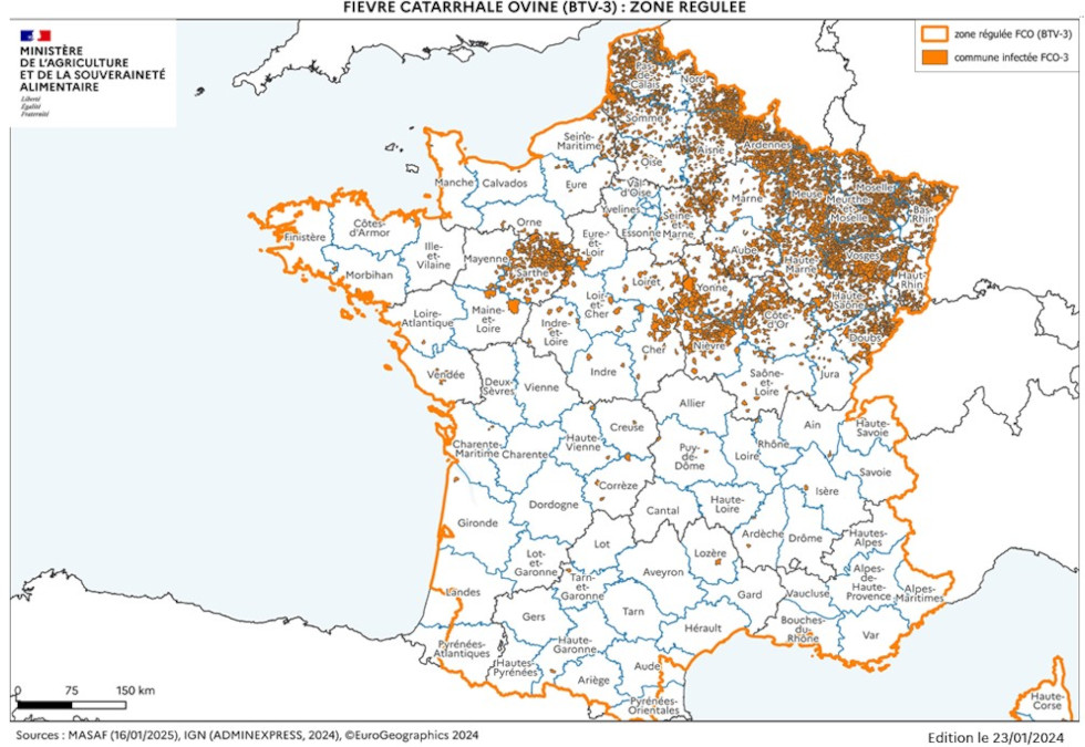 Carte et liste des communes de la zone régulée FCO au 23 janvier 2025