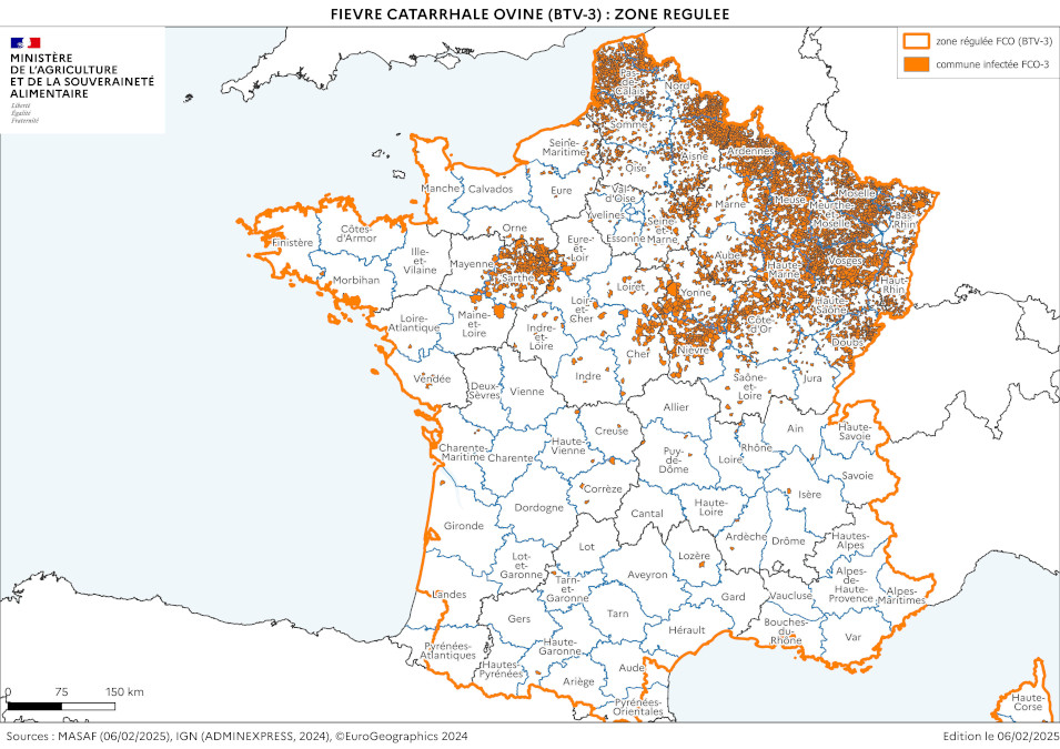 Carte et liste des communes de la zone régulée FCO au 6 février 2025 