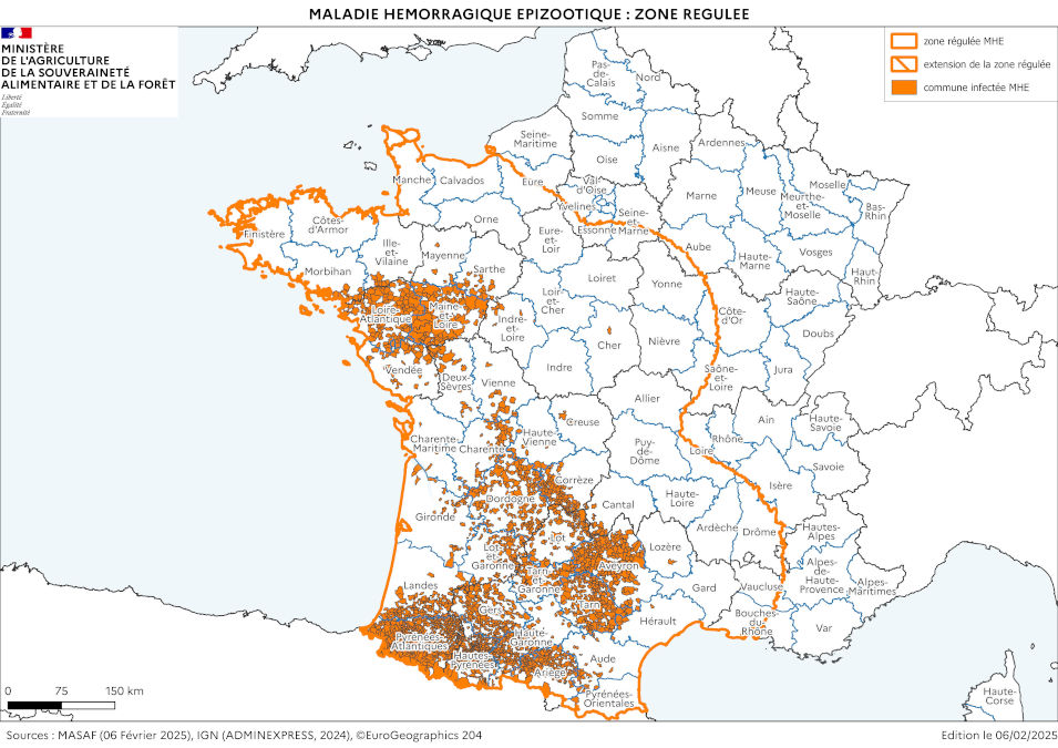 Cartographie de la zone réglementée au titre de la MHE à partir des foyers du sud-ouest (à la date du 6 février 2025)