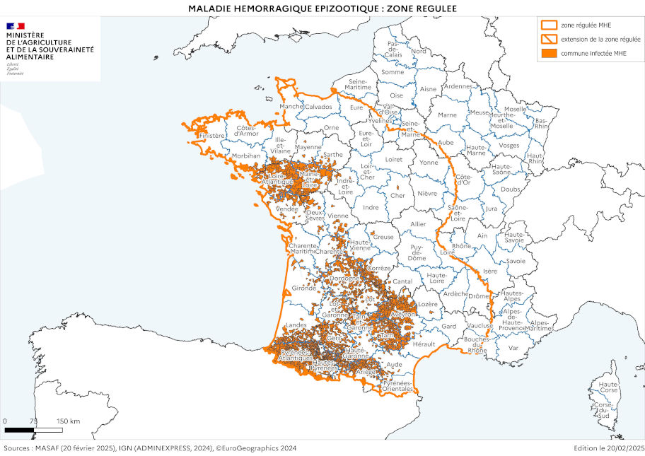 Cartographie de la zone réglementée au titre de la MHE à partir des foyers du sud-ouest (à la date du 20 février 2025)