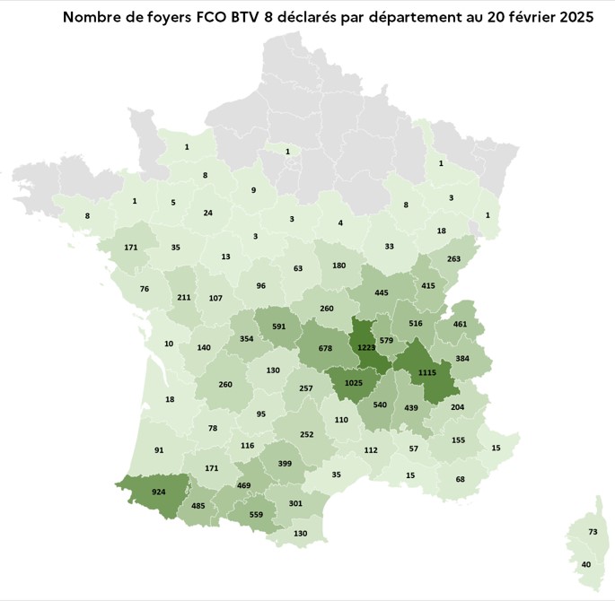 Répartition des foyers par département Sérotype 8