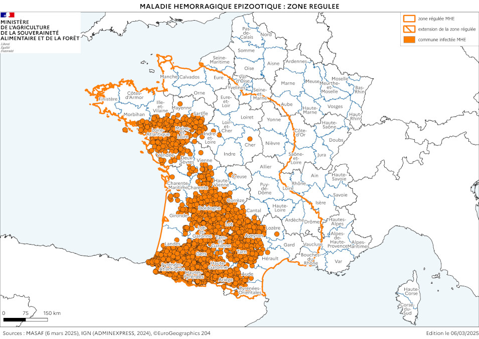 Cartographie de la zone réglementée au titre de la MHE à partir des foyers du sud-ouest (à la date du 6 mars 2025)