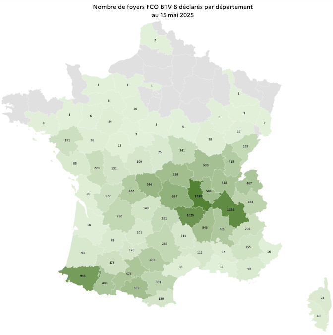 Nombre de foyers FCO BTV 8 déclarés par département