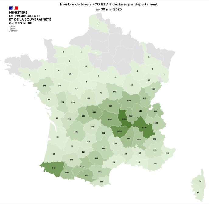 Nombre de foyers FCO BTV 8 déclarés par département