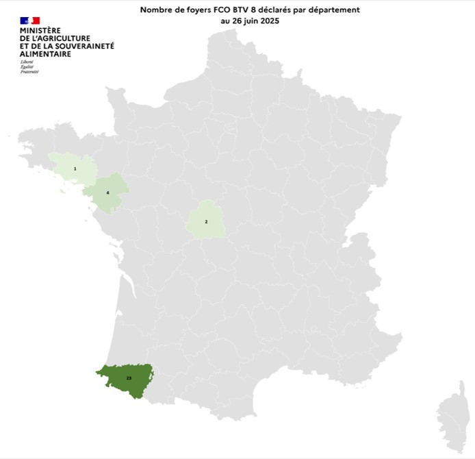 Nombre de foyers FCO BTV 8 déclarés par département au 26 juin 2025