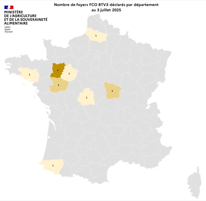 Nombre de foyers FCO BTV3 déclarés par département au 3 juillet 2025