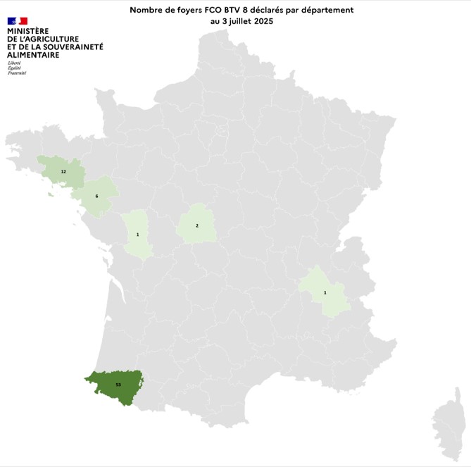Nombre de foyers FCO BTV 8 déclarés par département au 3 juillet 2025