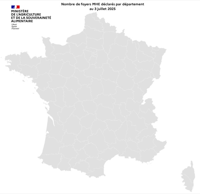Nombre de foyers MHE déclarés par département au 3 juillet 2025