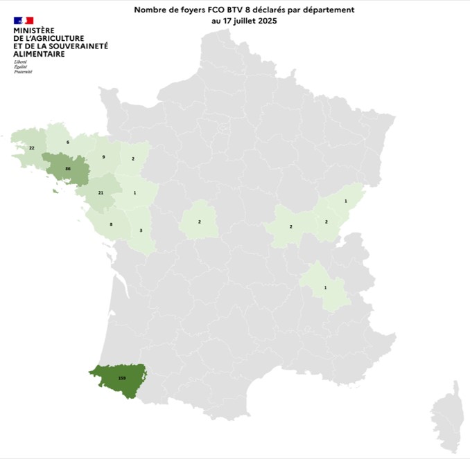 Nombre de foyers FCO BTV 8 déclarés par département au 17 juillet 2025