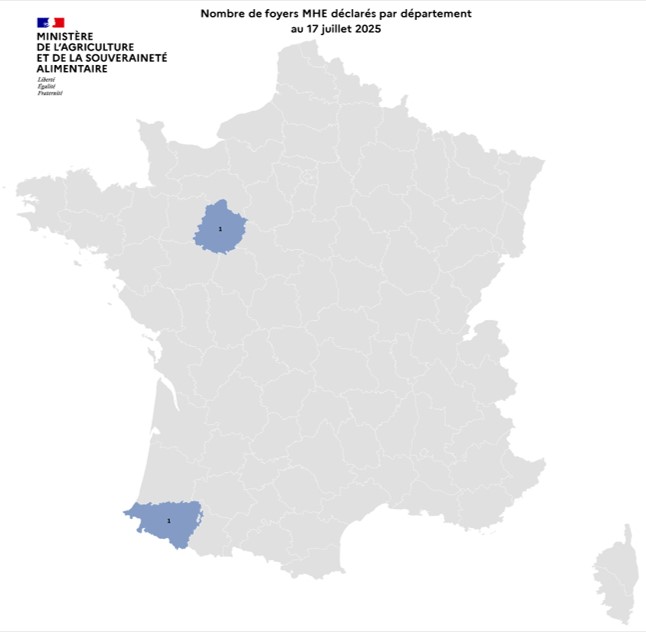 Nombre de foyers MHE déclarés par département au 17 juillet 2025